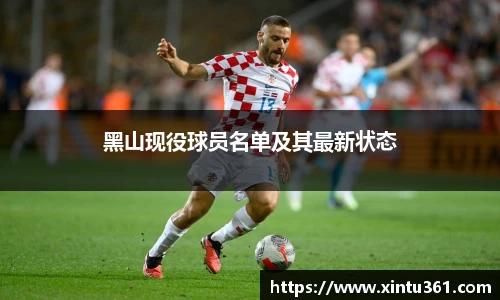 黑山现役球员名单及其最新状态